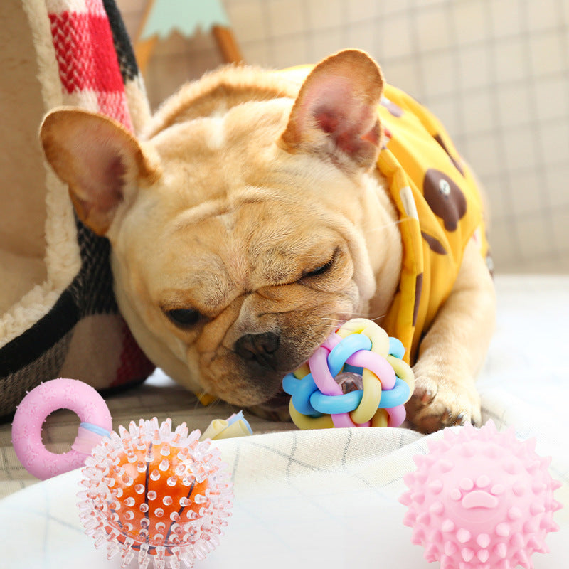 Non-toxic Pet Training Toy Chew Rubber Toys - Kenzllc