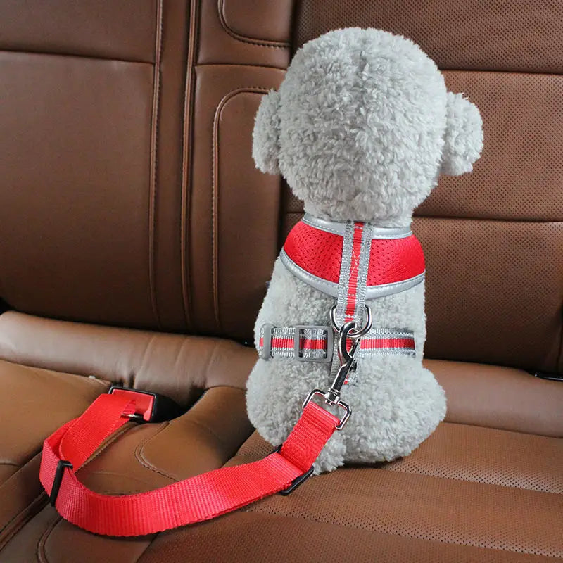 Pet Car Seat Belts - Kenzllc