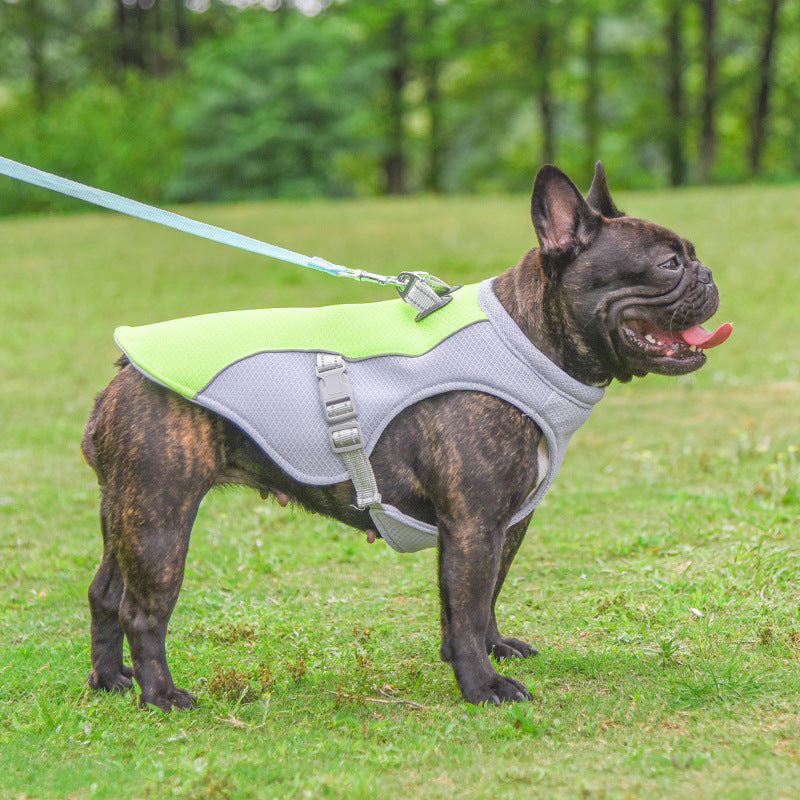 Summer Pet Cooling Vest Heat Resistant - Kenzllc