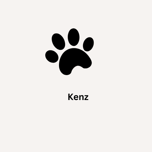 Kenzllc